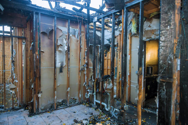 Professional Fire Damage Removal technician working in University at Buffalo, NY